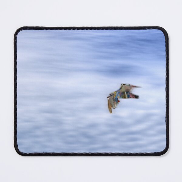 Item preview, Spirit Seagull Over Mashpee designed and sold by Wayne King.