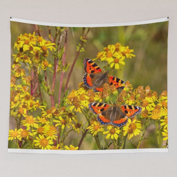 Item preview, Small Tortoiseshell Butterflies on Common Ragwort designed and sold by Violaman.