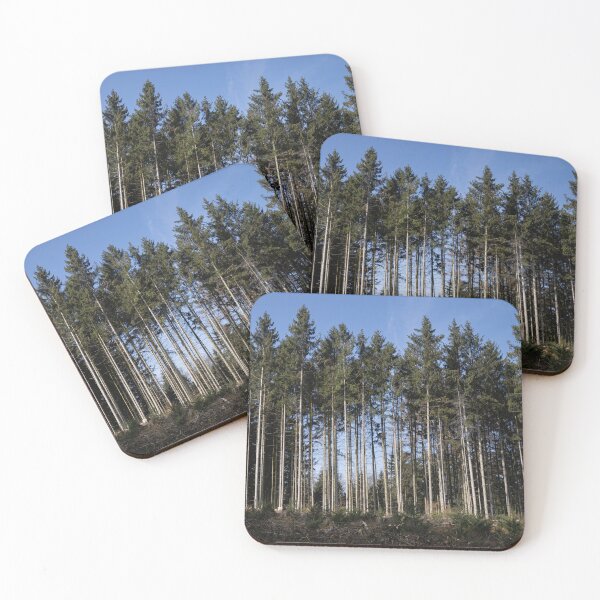 Item preview, Fir trees designed and sold by Calidris Fotografie Steffi & Ben Köppler.