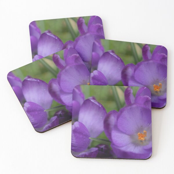Item preview, Crocus designed and sold by Calidris Fotografie Steffi & Ben Köppler.