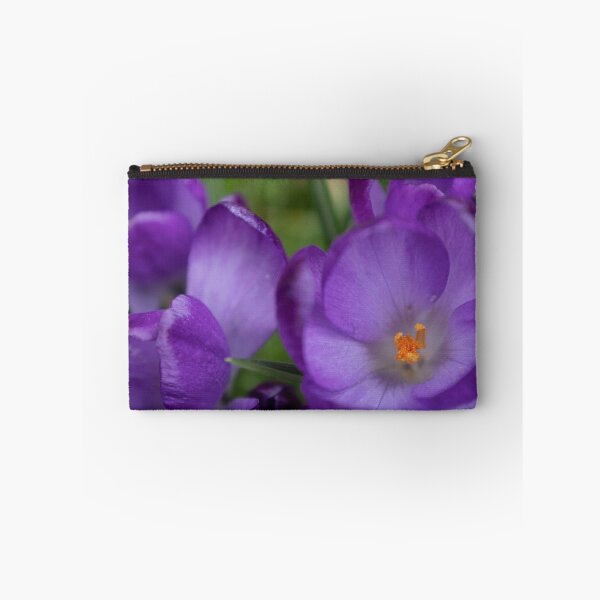 Item preview, Crocus designed and sold by Calidris Fotografie Steffi & Ben Köppler.