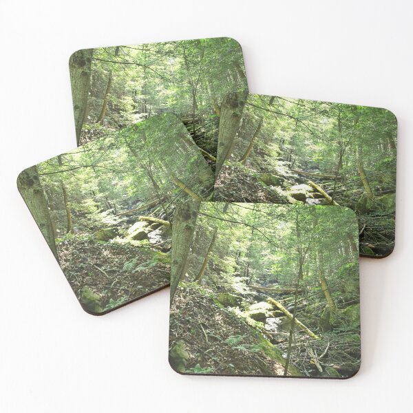 Item preview, Hiking McConnells Mill State Park PA designed and sold by LisaWootenPhoto.