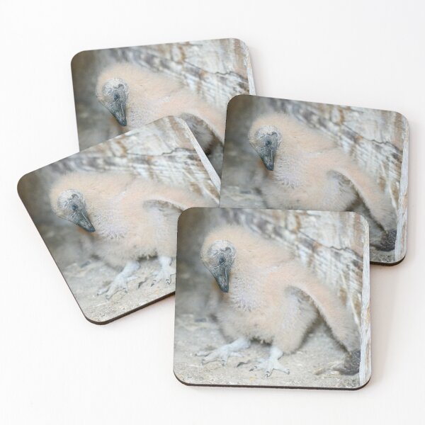 Item preview, Black Vulture Nestling designed and sold by LauraWolfArtist.