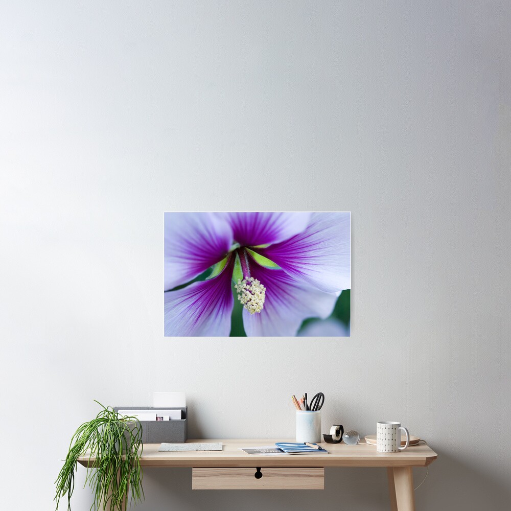 Purple Effusion Poster