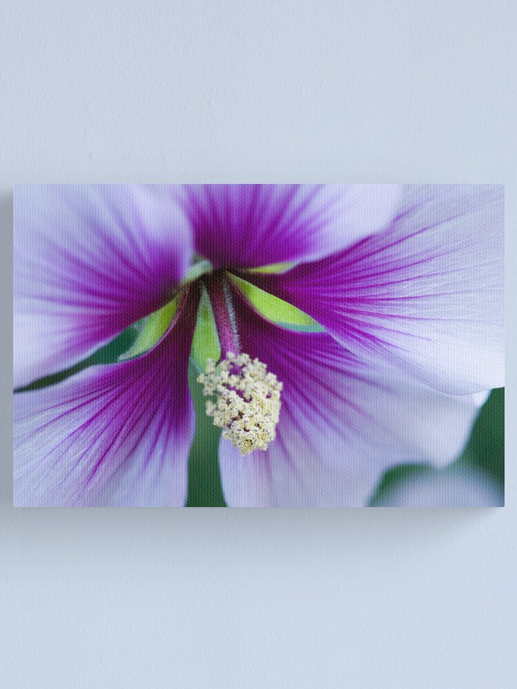 Alternate view of Purple Effusion Canvas Print
