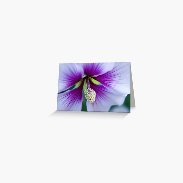 Purple Effusion Greeting Card