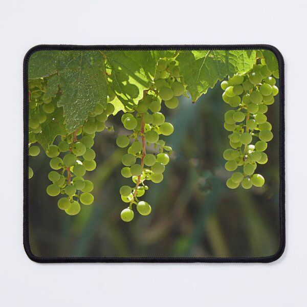 Item preview, Might be good? designed and sold by Paul Pasco.