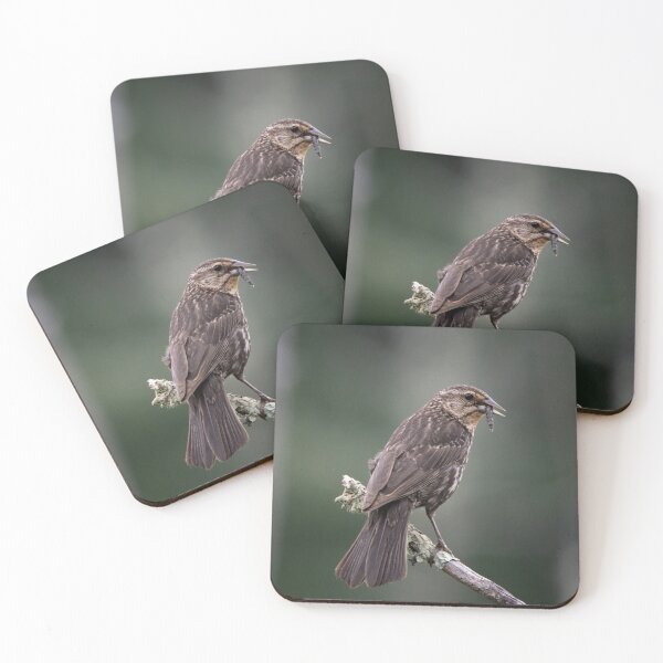 Item preview, Lunchtime designed and sold by Tim Dusenberry.