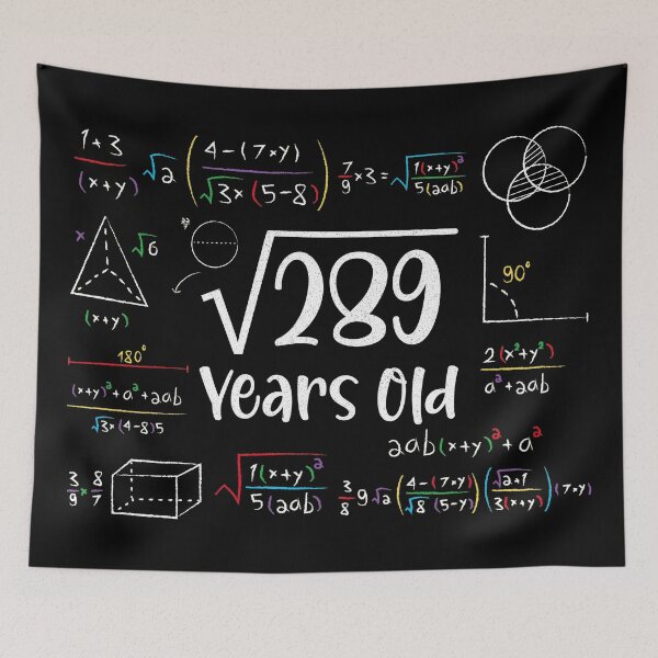 Item preview, Square Root of 289 17th Birthday 17 Year Old Gifts Math Bday designed and sold by Blok45.