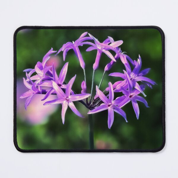 Item preview, Society Garlic designed and sold by Tom McPherson Photography.