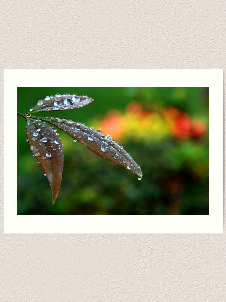 Alternate view of After the Storm Art Print
