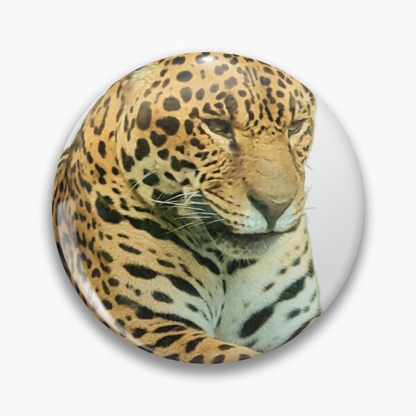 Item preview, Jaguar designed and sold by Photomainia.