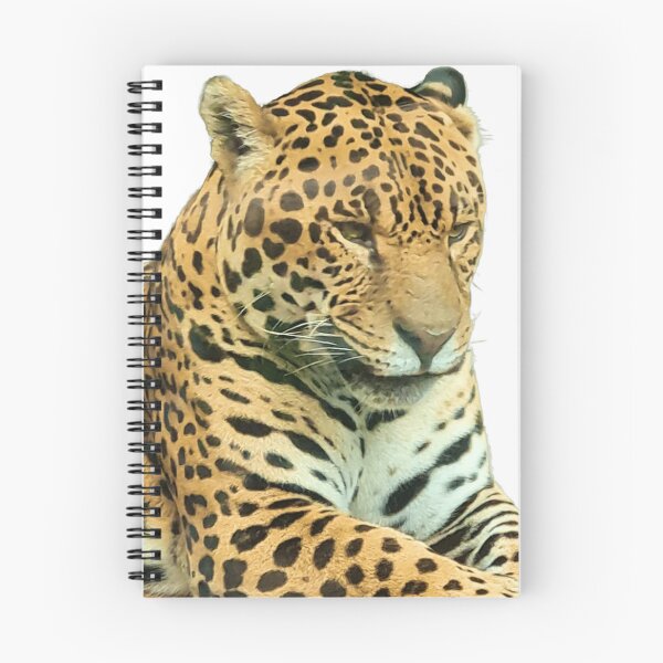 Item preview, Jaguar designed and sold by Photomainia.