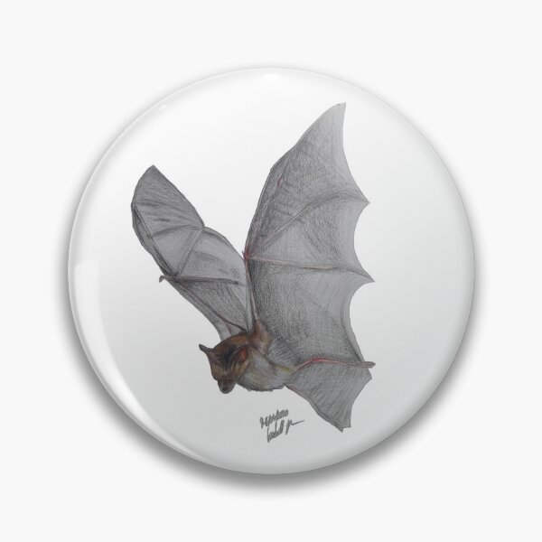 Item preview, Bat colored pencil drawing realistic designed and sold by Ms-Nightshade.