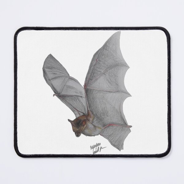 Item preview, Bat colored pencil drawing realistic designed and sold by Ms-Nightshade.