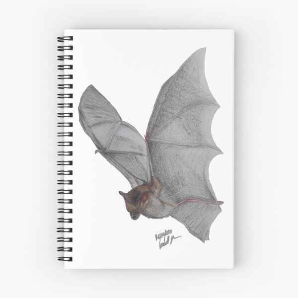 Item preview, Bat colored pencil drawing realistic designed and sold by Ms-Nightshade.