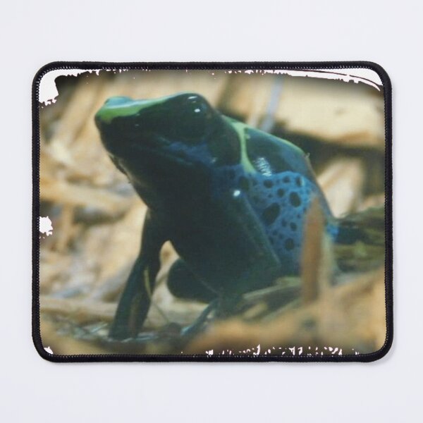 Item preview, Little Frog designed and sold by Photomainia.