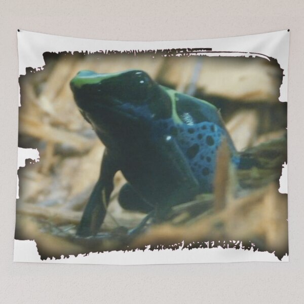 Item preview, Little Frog designed and sold by Photomainia.
