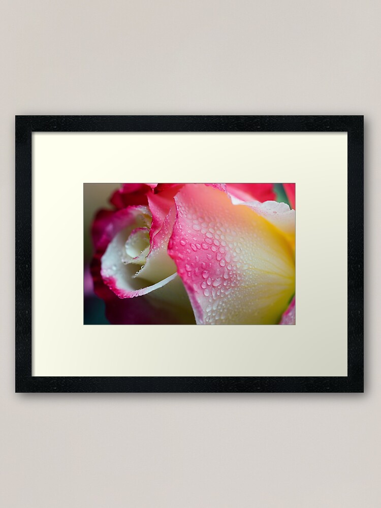 Alternate view of Dewy Beauty Framed Art Print