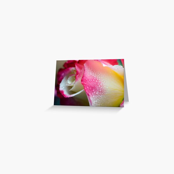 Dewy Beauty Greeting Card
