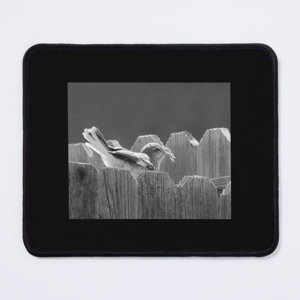 Item preview, Mockingbird Fledgling Swallowing the Last of the Lizard Mom Fed Him designed and sold by CarolM.
