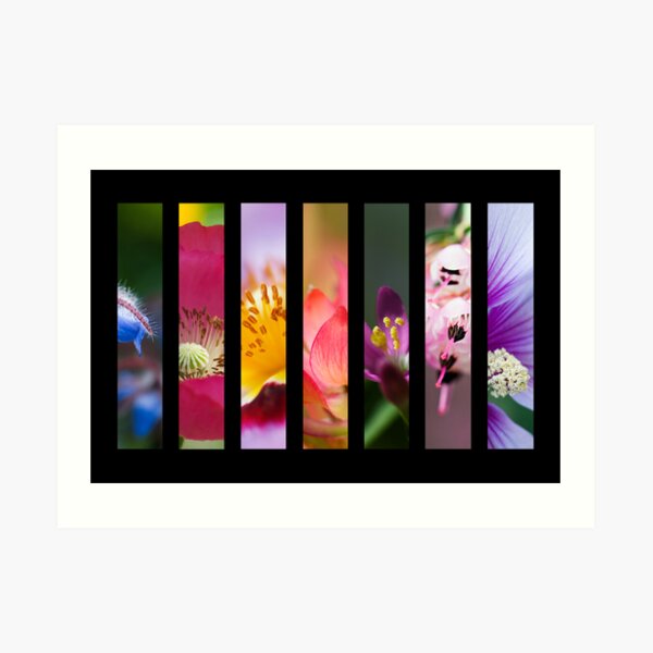 Perennial Bounty Art Print