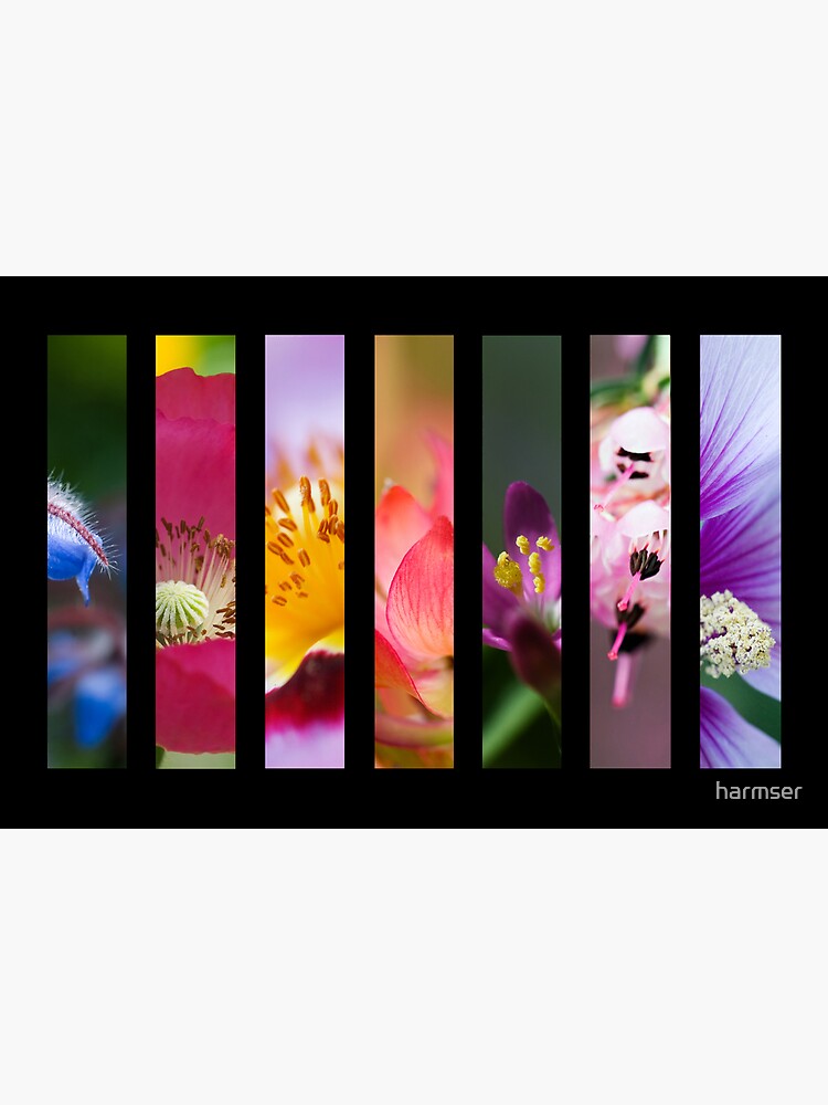 Perennial Bounty by harmser