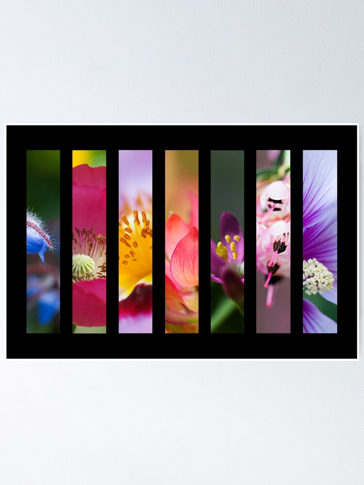 Alternate view of Perennial Bounty Poster