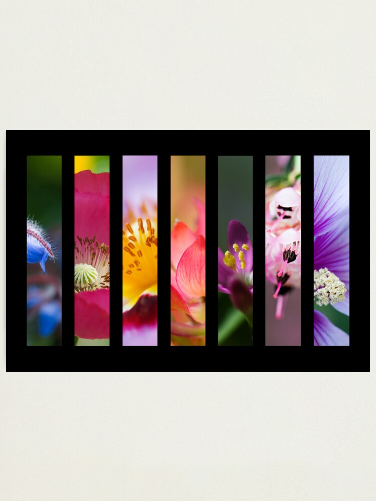 Alternate view of Perennial Bounty Photographic Print