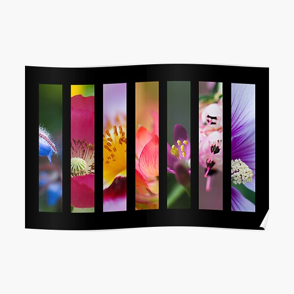 Perennial Bounty Poster