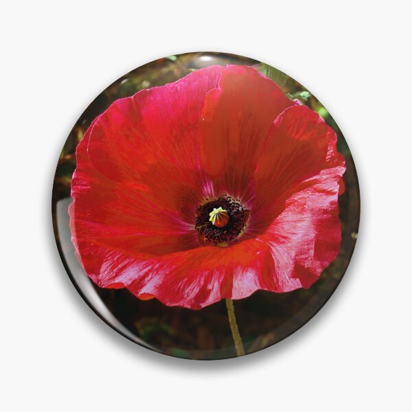 Item preview, Solitary Poppy designed and sold by Tom McPherson Photography.