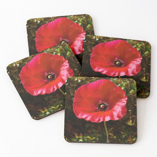 Item preview, Solitary Poppy designed and sold by Tom McPherson Photography.