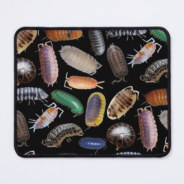 Item preview, isopods! designed and sold by soymead.