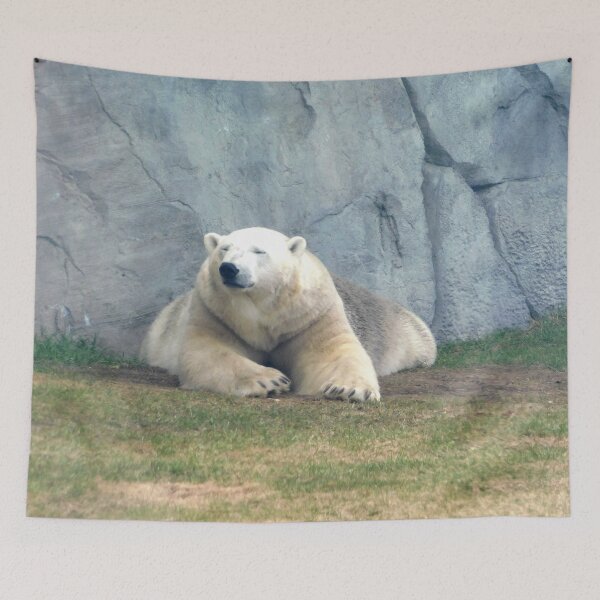 Item preview, Polar Chill designed and sold by Photomainia.