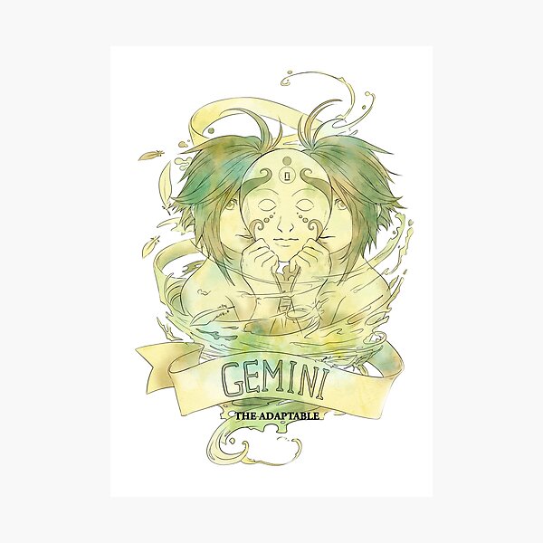 Gemini, The Adaptable Photographic Print