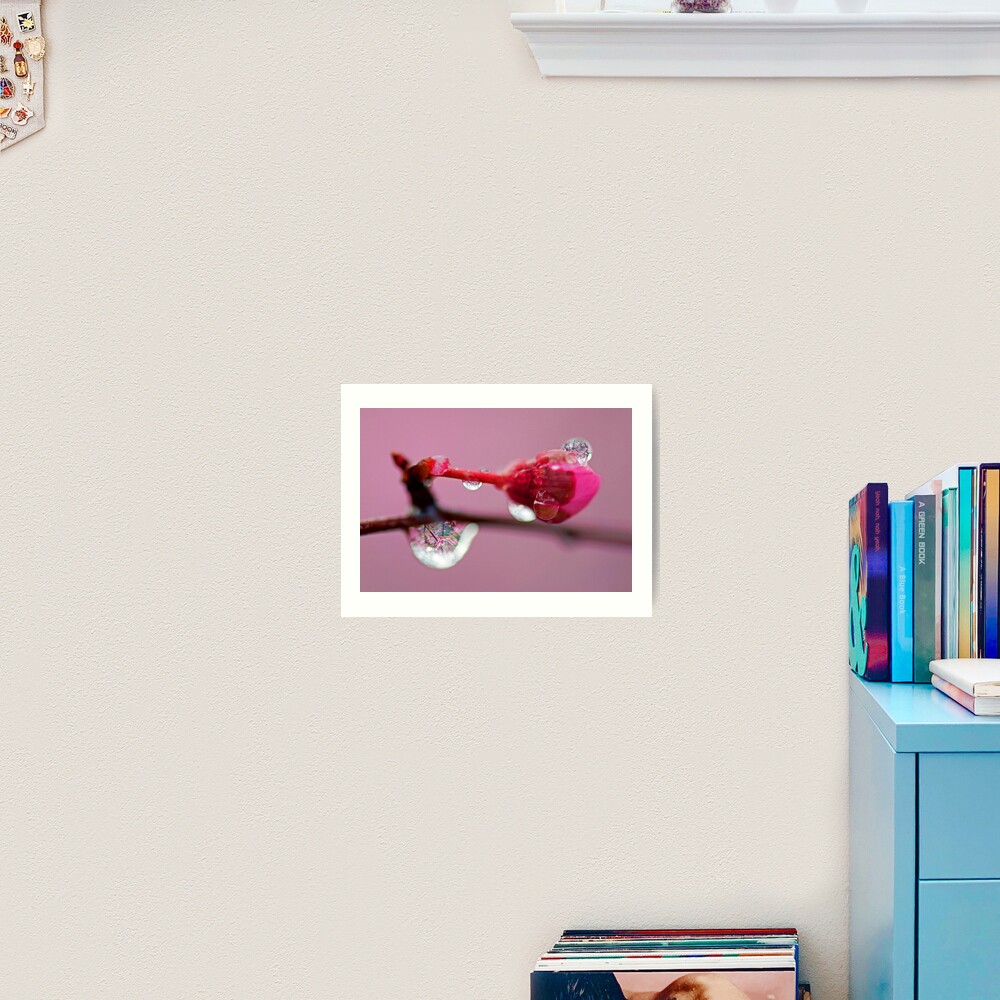 Spring Jewels Art Print