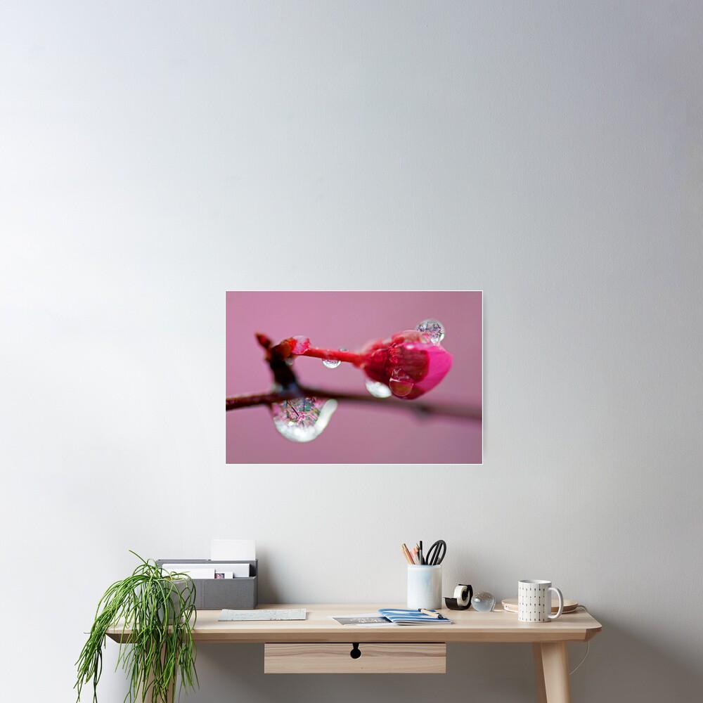 Spring Jewels Poster
