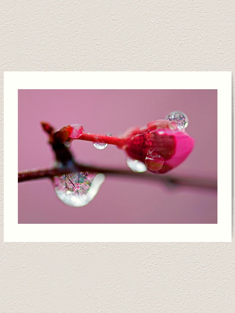 Alternate view of Spring Jewels Art Print
