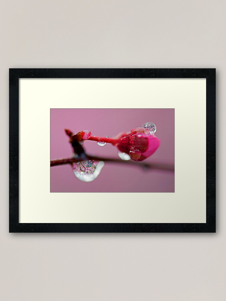 Alternate view of Spring Jewels Framed Art Print