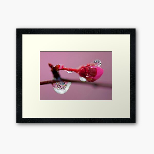 Spring Jewels Framed Art Print