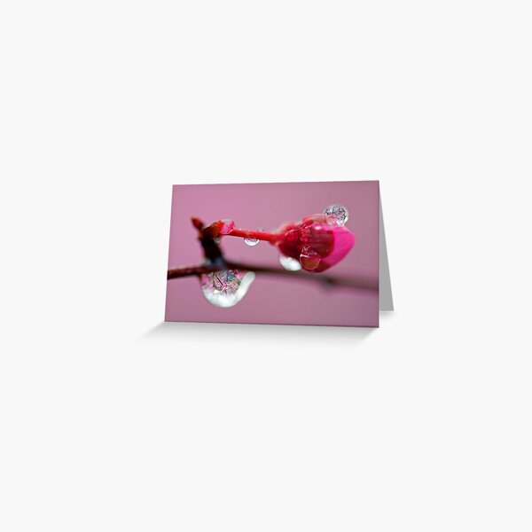 Spring Jewels Greeting Card