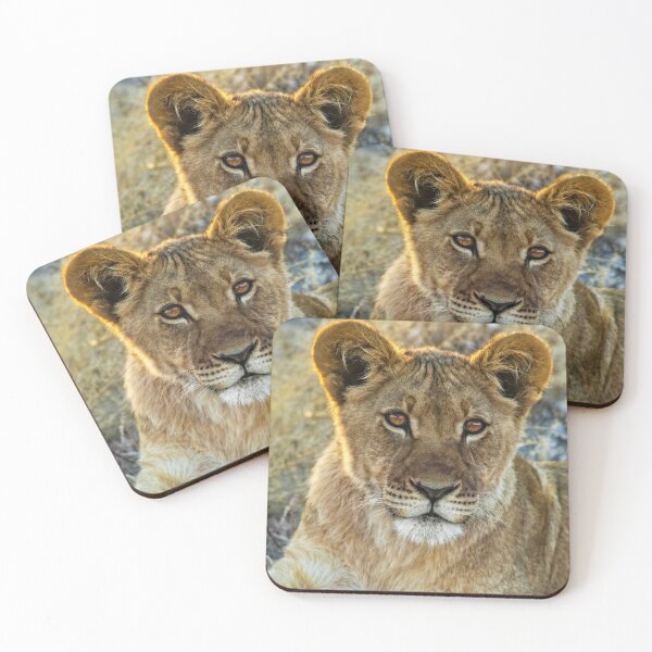 Item preview, Kalahari Lion Cub designed and sold by Kay Brewer.