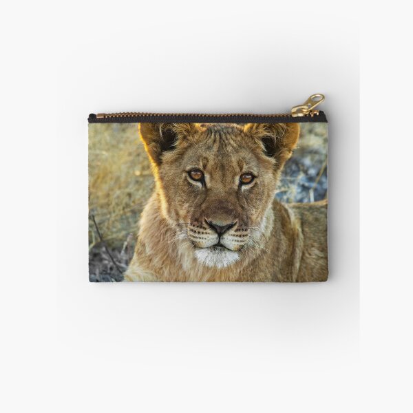 Item preview, Kalahari Lion Cub designed and sold by Kay Brewer.