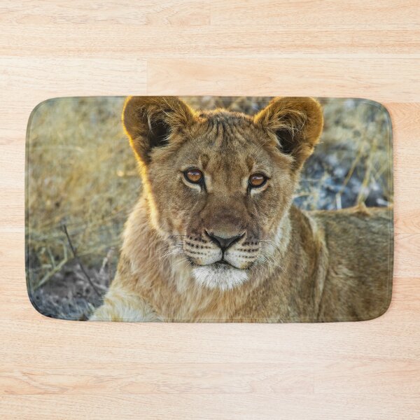 Item preview, Kalahari Lion Cub designed and sold by Kay Brewer.