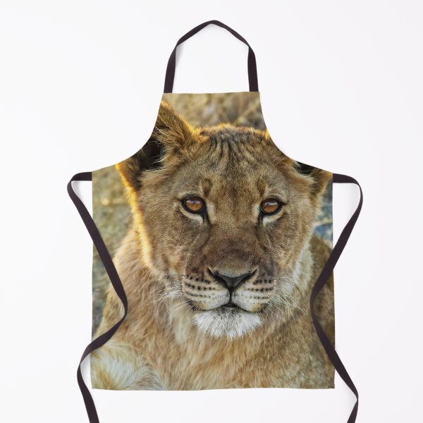 Item preview, Kalahari Lion Cub designed and sold by Kay Brewer.