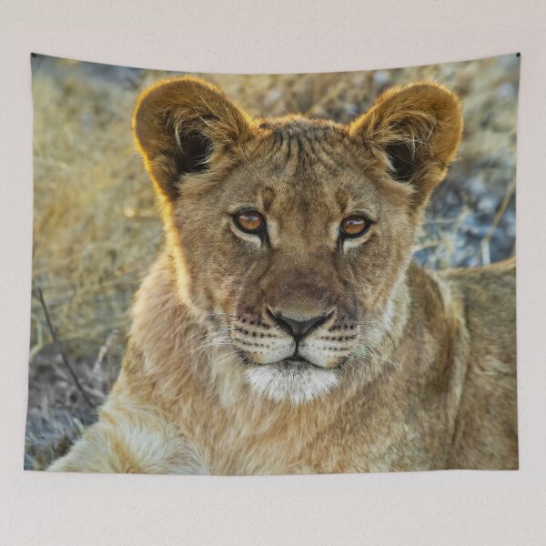 Item preview, Kalahari Lion Cub designed and sold by Kay Brewer.