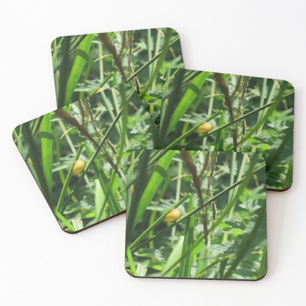 Item preview, Snail With Yellow Shell in Lush Green Vegetation designed and sold by mindwarp2000.