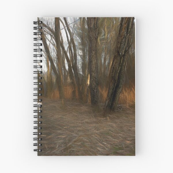 Item preview, Kodi's Approach - Langdon Woods designed and sold by Wayne King.