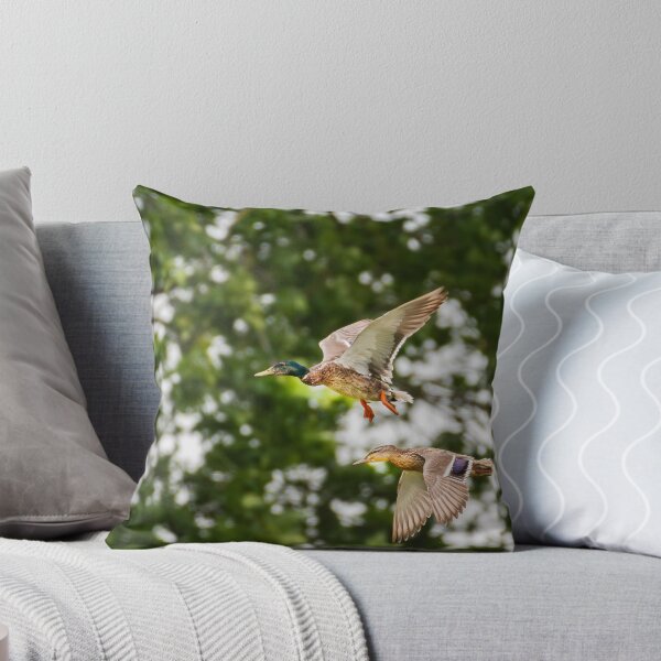 Item preview, Mallard Duck designed and sold by MTPhotos1406.