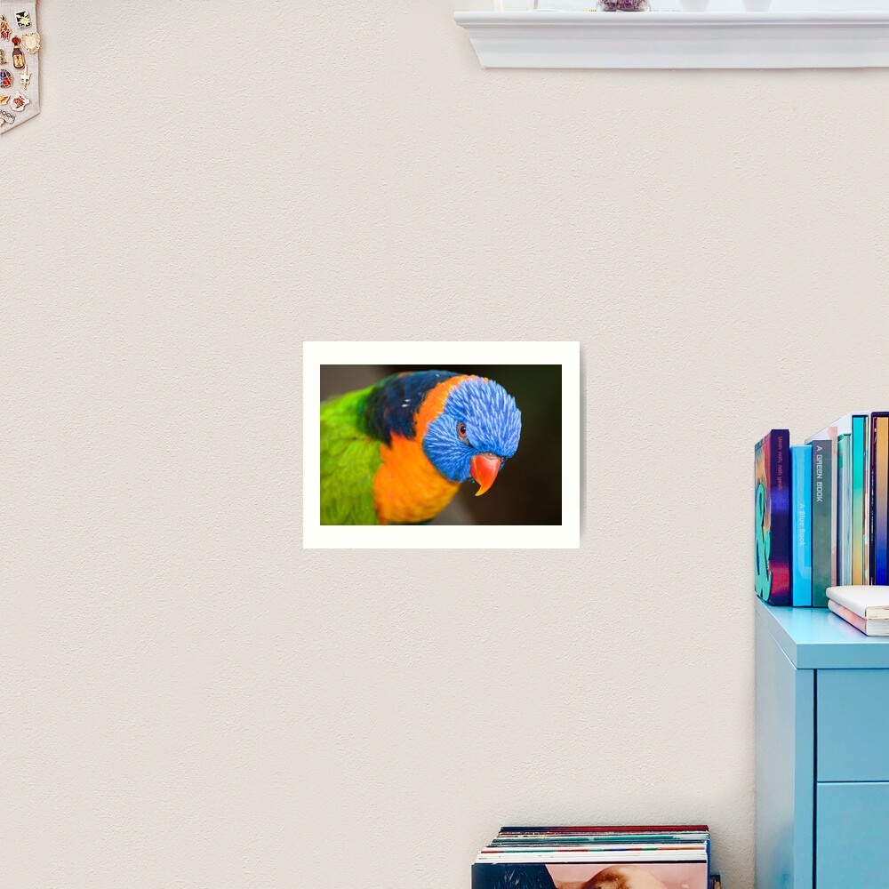 Stare Down Art Print